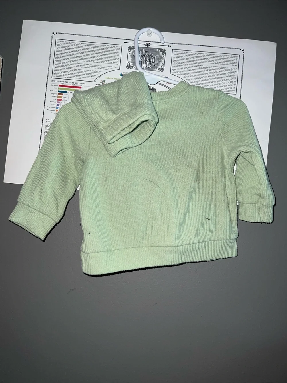 Cat & Jack Light Green Crewneck Kids' Pullover Sweatshirt
